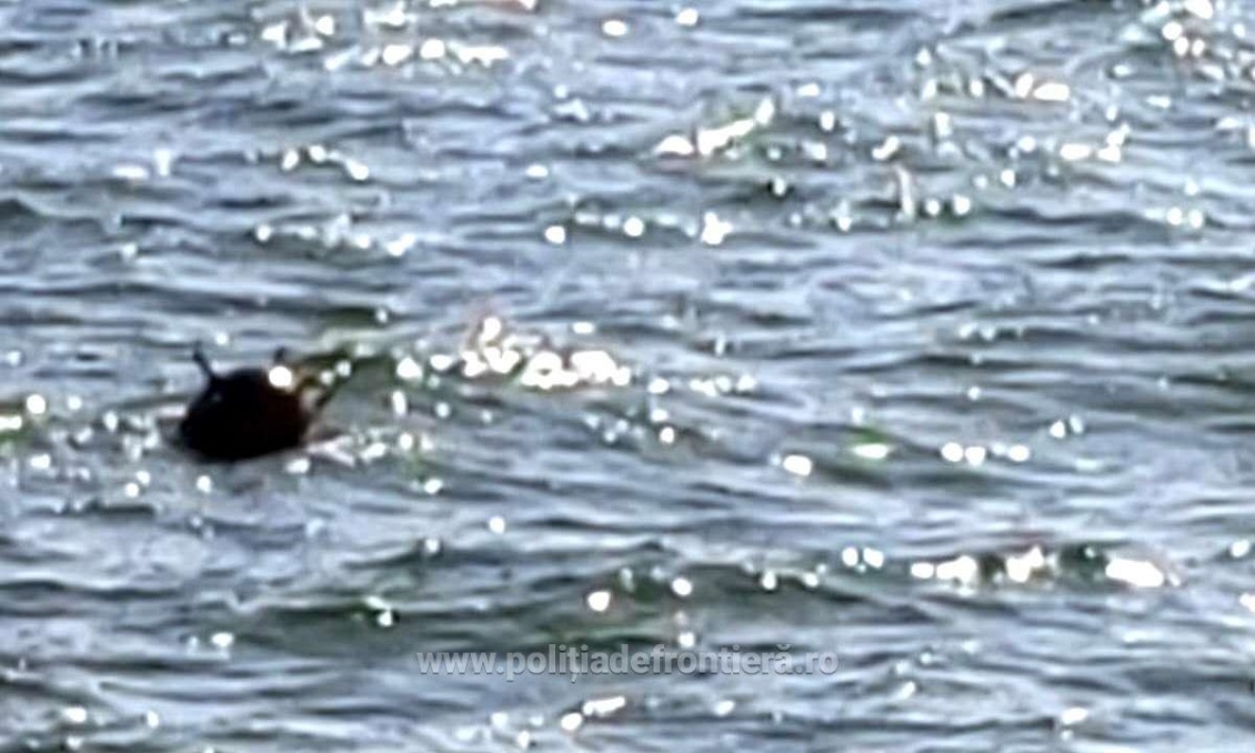 Mină marină descoperită pe mare Foto: Poliția de Frontieră