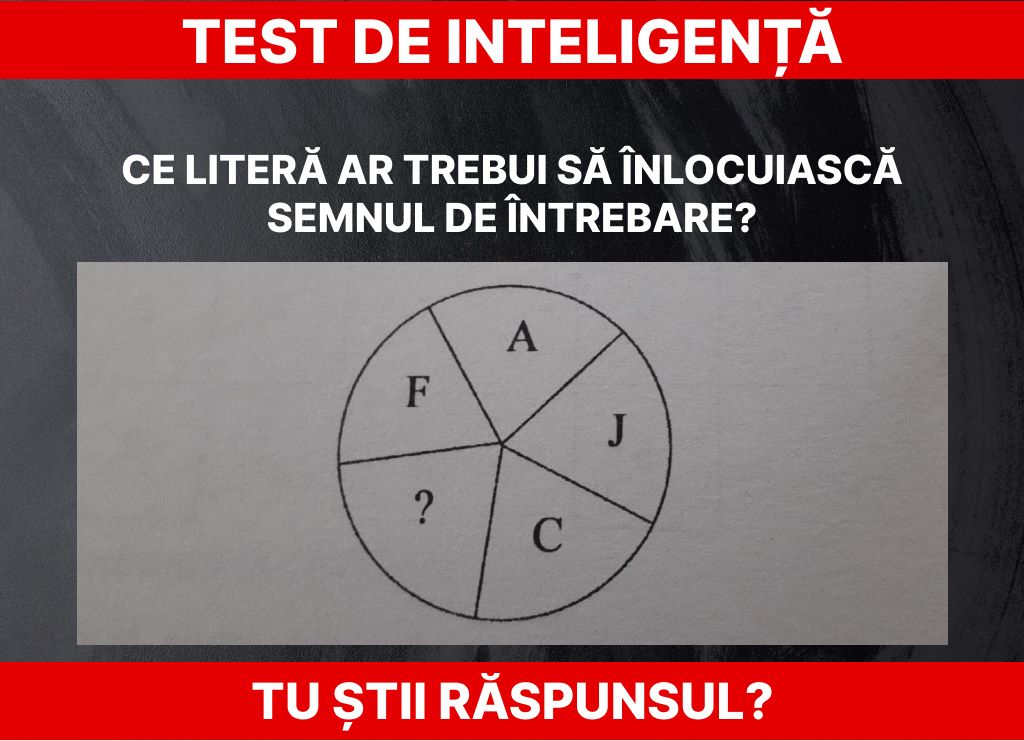 Test de inteligență Foto: Daniel Toșa