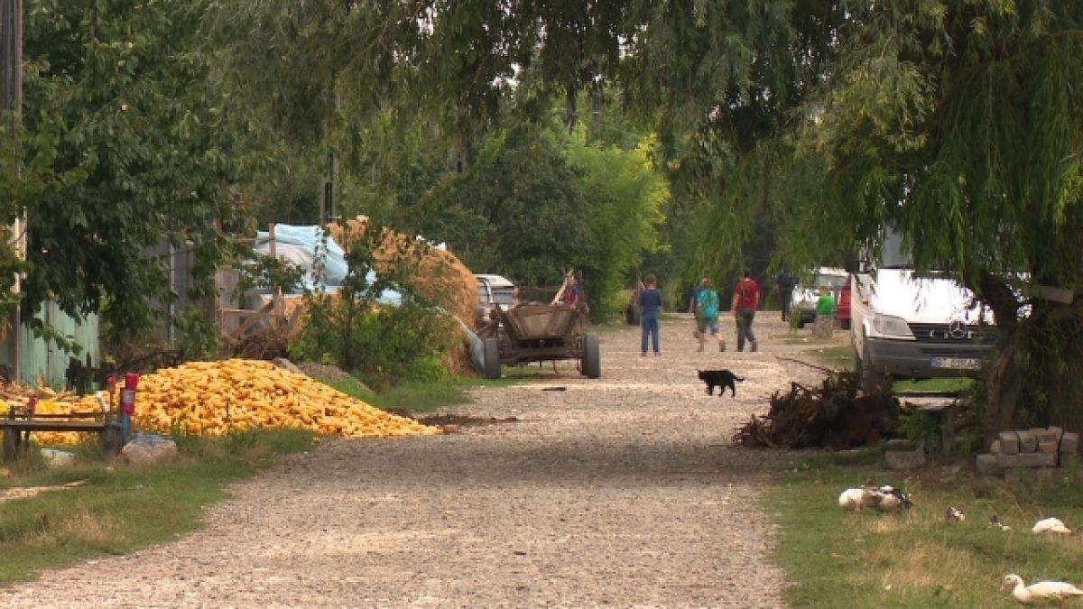 Satul-fantomă din România care păstrează încă vie memoria lui Eminescu. „Aici suntem doar noi” - Foto: Arhivă / imagine cu caracter ilustrativ
