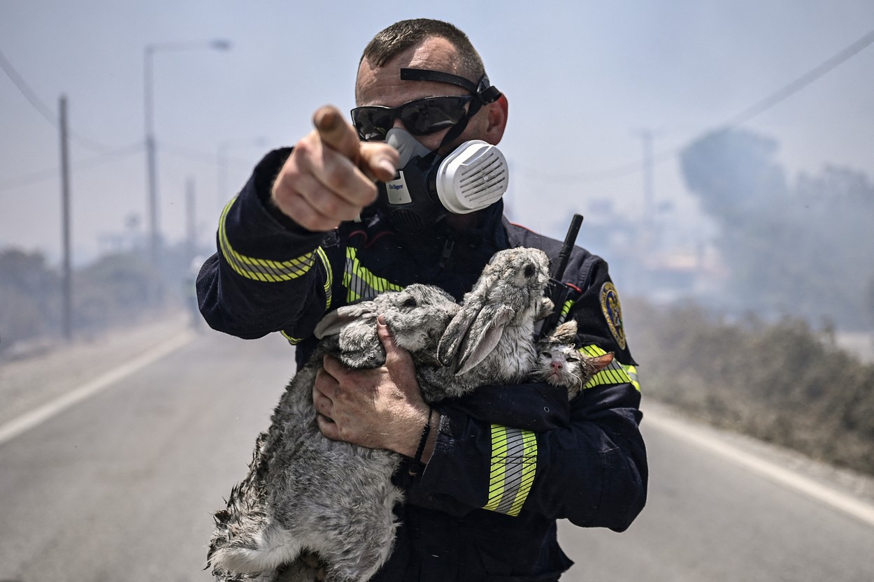 Pompier român care salvează un iepure din incendiile din Grecia - Foto: Profimedia Images