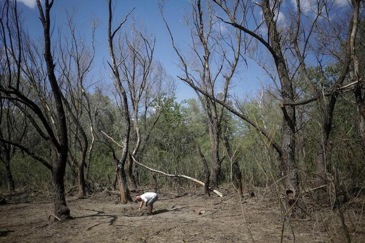 MApN anunță că s-au găsit fragmente dintr-o dronă în apropiere de localitatea Plauru - Foto: Libertatea