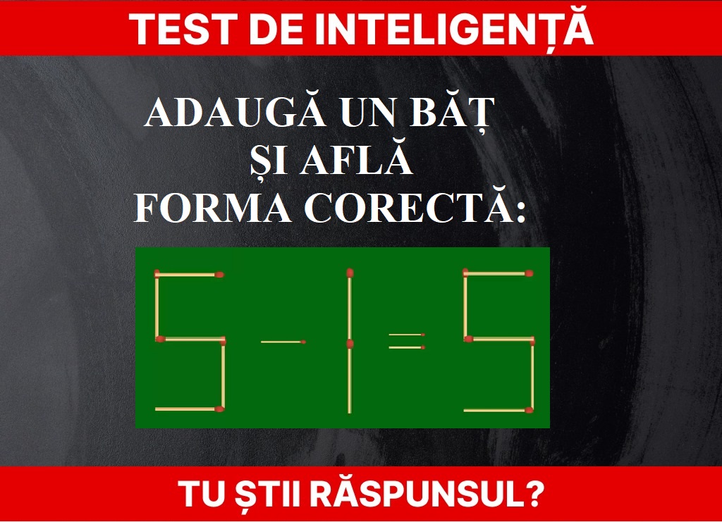 test de inteligență Foto: Newsweek