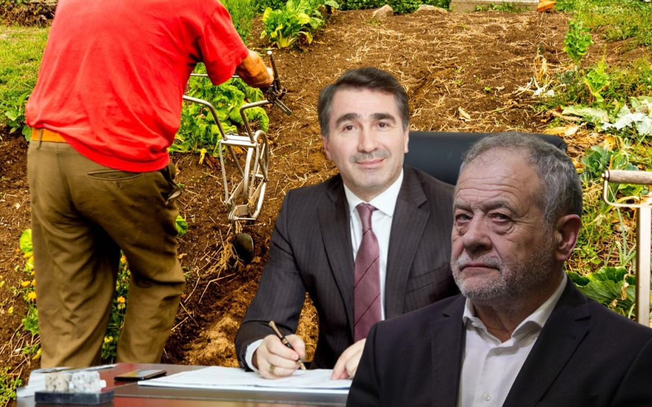 Baronii PSD Buzatu și Arsene - Foto: Colaj / Arhiva