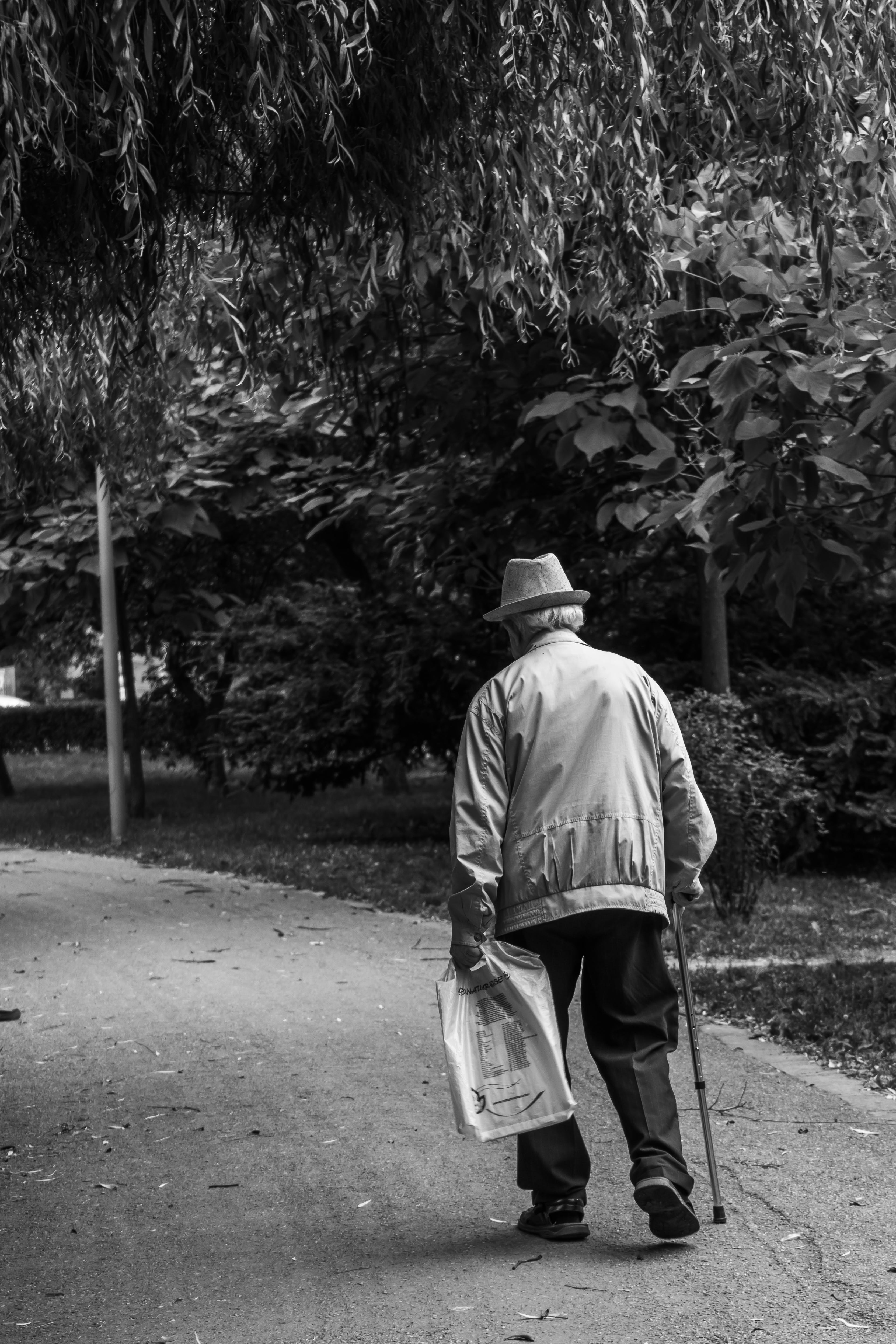 De ce pensiile se livrează, în decembrie, mai târziu. „Va fi o situație excepțională” Foto: Pexels (fotografie cu caracter ilustrativ)
