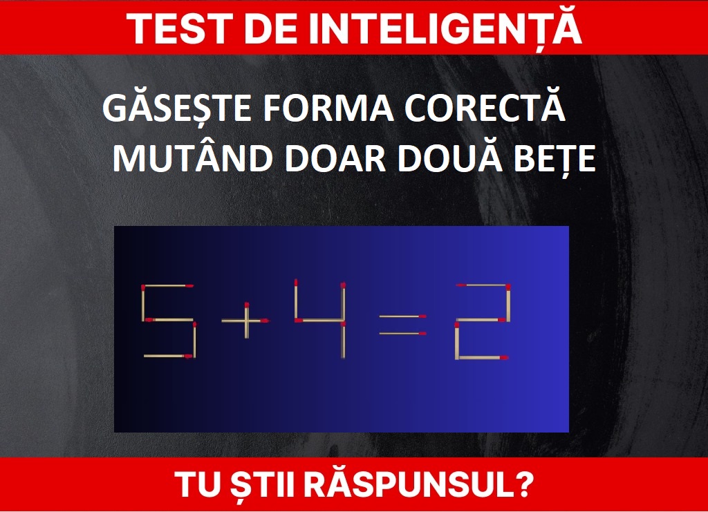 Test de inteligență Foto: Newsweek/https://abmeyerwood.com