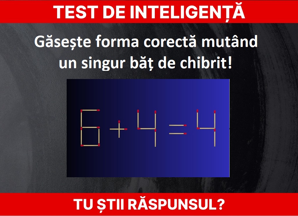 Test de inteligență. Foto: Newsweek/ abmeyerwood.com