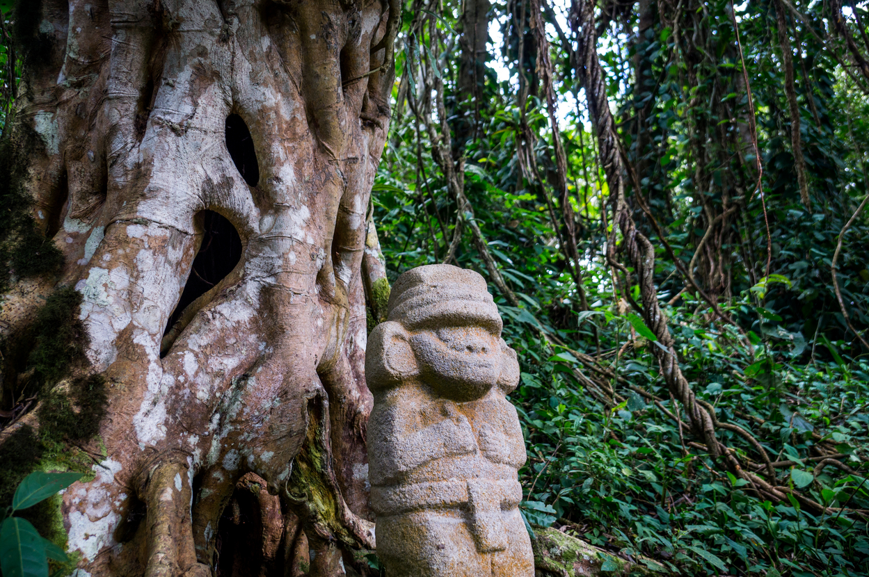 O rețea uriașă de orașe antice a fost descoperită în Amazonia. Sunt vechi de peste 2.500 ani - Foto: Profimedia Images/ Imagine cu caracter ilustrativ