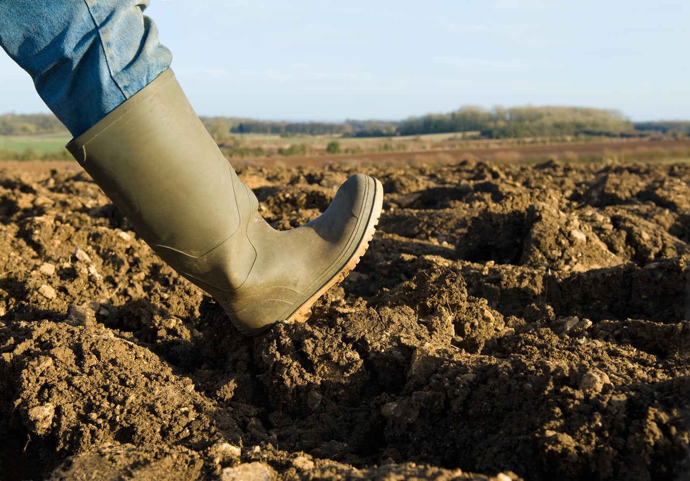 Șeful APIA, demis la ordinul Ministrului Agriculturii. Subvențiile fermierilor ar fi motivul - Foto: Profimedia Images/ Imagine cu caracter ilustrativ