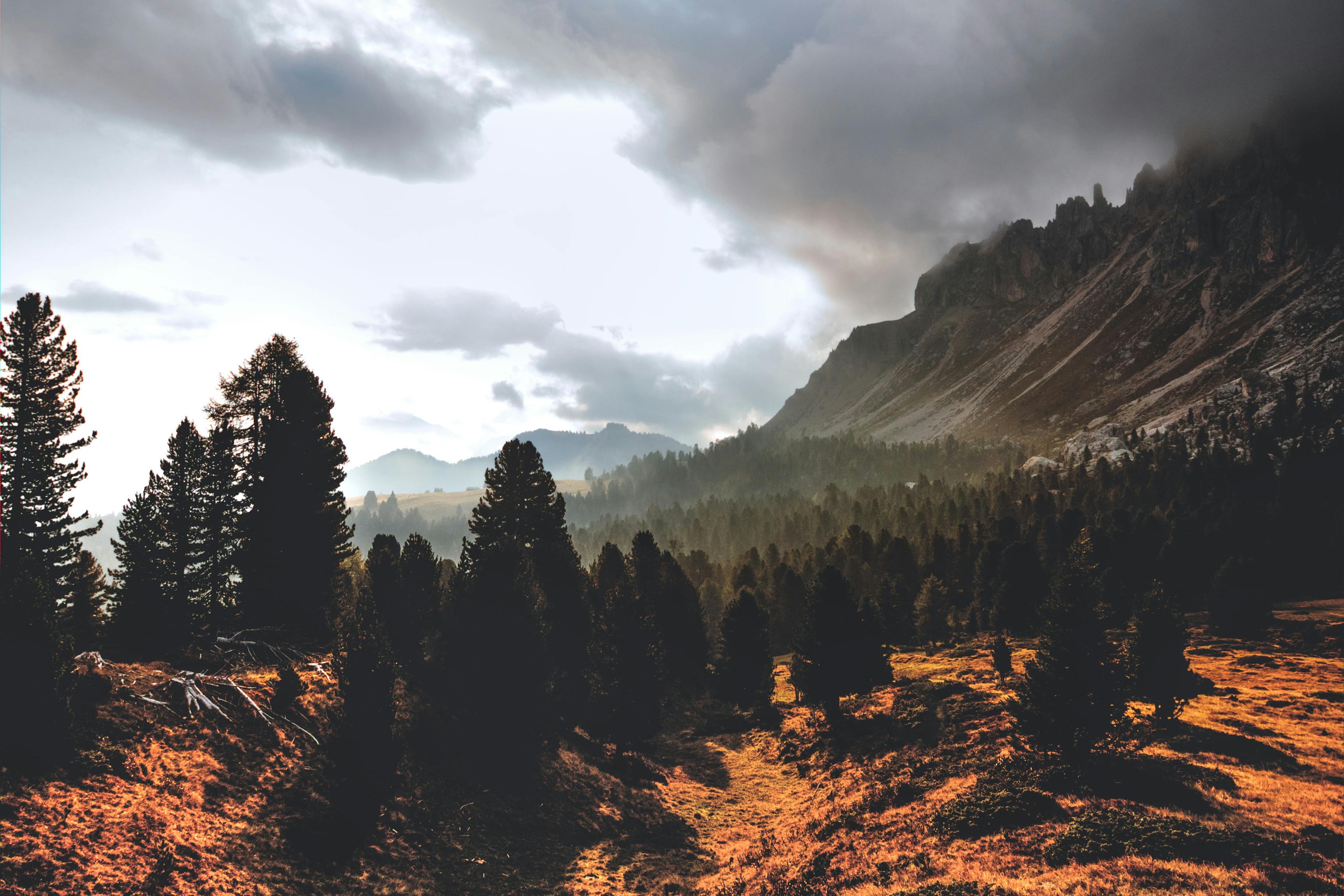 Mărțișorul vine cu vreme caldă și ploi în unele zone. Cum vor fi temperaturile în luna martie Foto: Pexels (fotografie cu caracter ilustrativ)