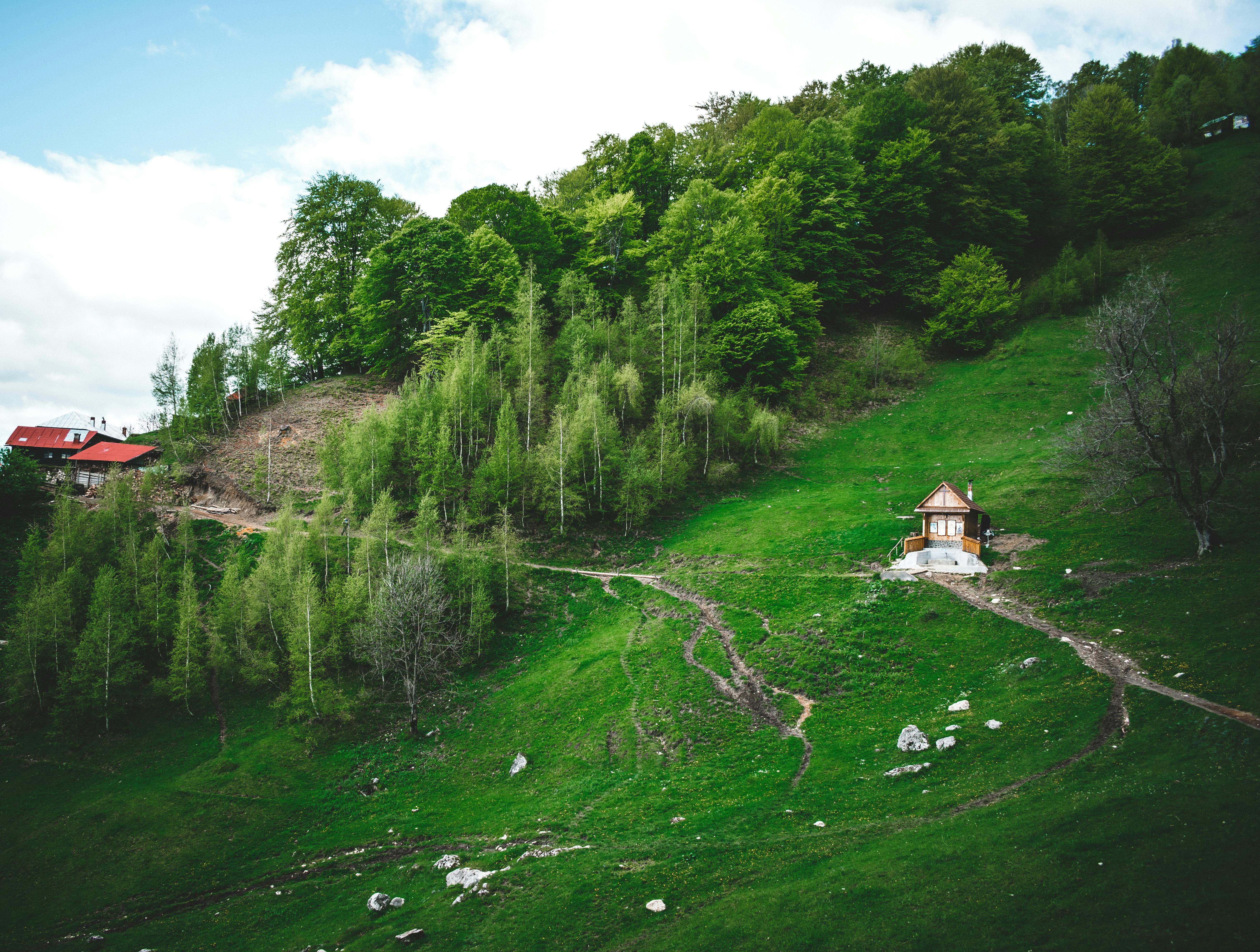 Ce este „Prima conectare” și cum pot primi românii 1900 de euro? Trebuie să abă venituri de 1700 lei Foto: Pexels (fotografie cu caracter ilustrativ)