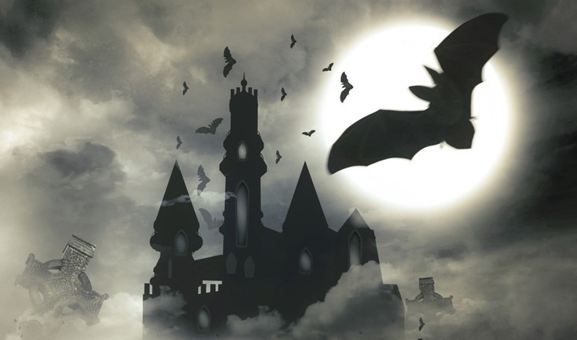 Castelul din România unde liliecii-vampir i-ar ataca pe turiști. Dracula ar fi fost întemnițat aici - Foto: Profimedia Images/ Imagine cu caracter ilustrativ