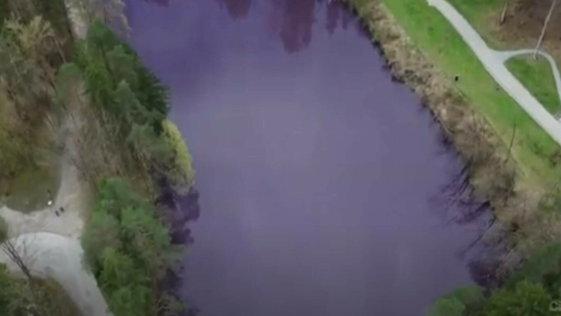 Un lac din Europa a devenit violet peste noapte. Care este explicația acestui fenomen? - Foto:  Captură video Youtube / CityNews  /