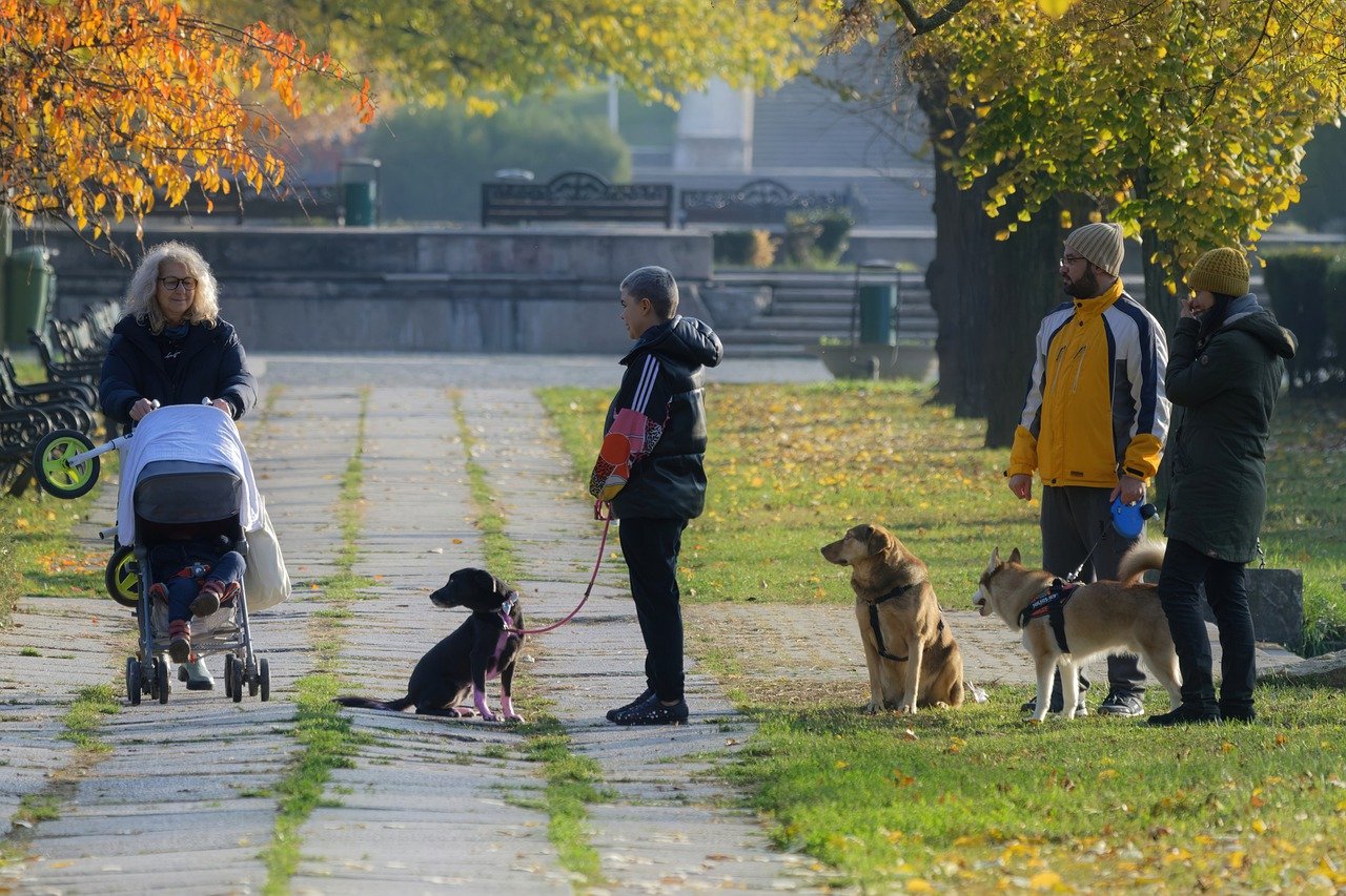 Cel mai scump animal de companie din costă 2 milioane de dolari - Foto: Pixabay - cu rol ilustrativ