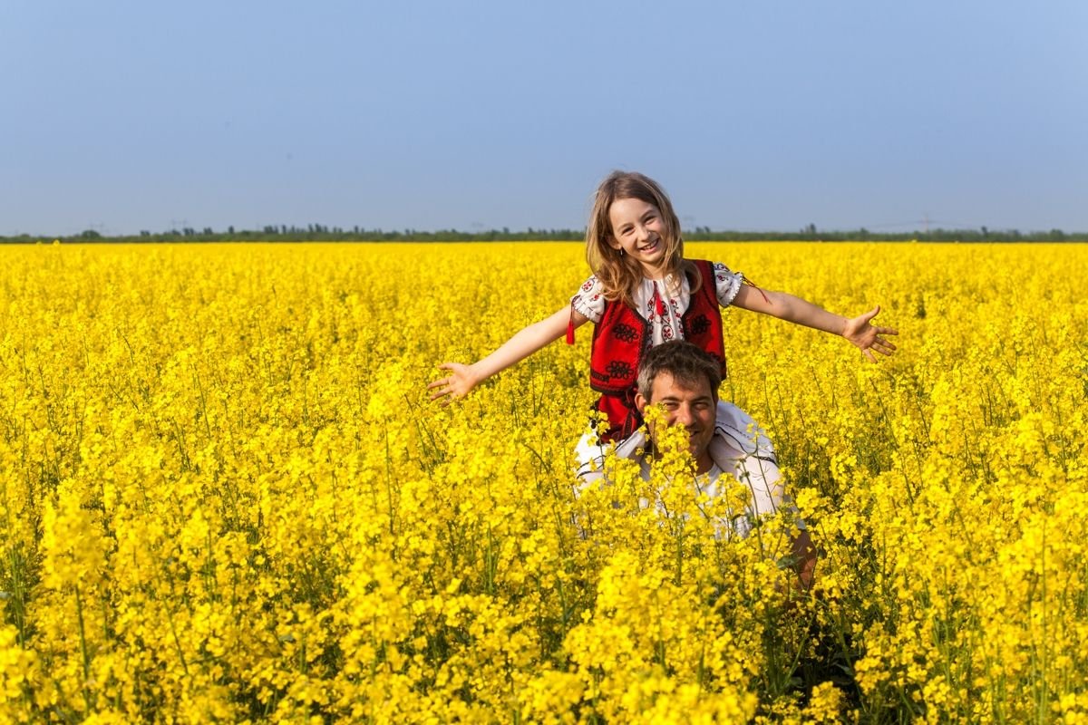 Șoferii care opresc pe drum să facă poze în rapiță riscă amenzi foarte mari. Scrie în Codul Rutier foto: itcseeds.ro(fotografie cu caracter ilustrativ)