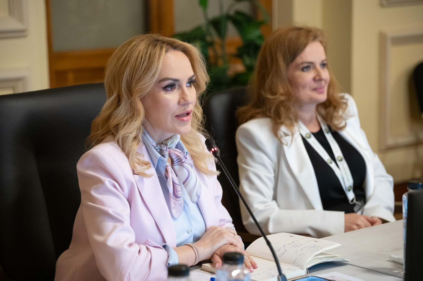 Gabriela Firea: „Aproape 1.000 de copii s-au născut până acum, în programele de susținere FIV” - Foto: Facebook / Gabriela Firea