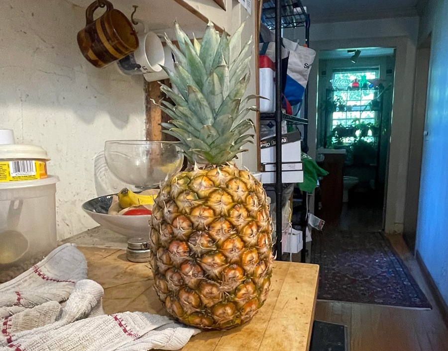 ILUZIE OPTICĂ Găsește păianjenul de pe acest ananas. Ai 10 secunde la dispoziție - Foto: Reddit / strawbmlk