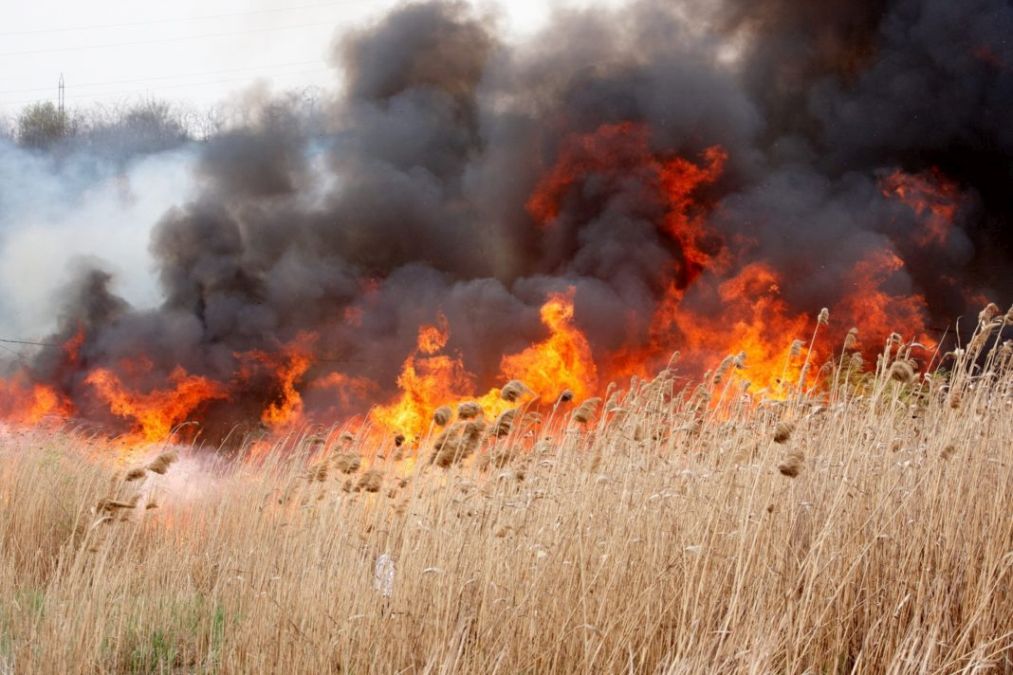 Incendiu puternic. Trafic feroviar afectat în Dobrogea, dincolo de Medgidia. Trenurile sunt oprite - Foto: gds.ro (imagine cu caracter ilustrativ)
