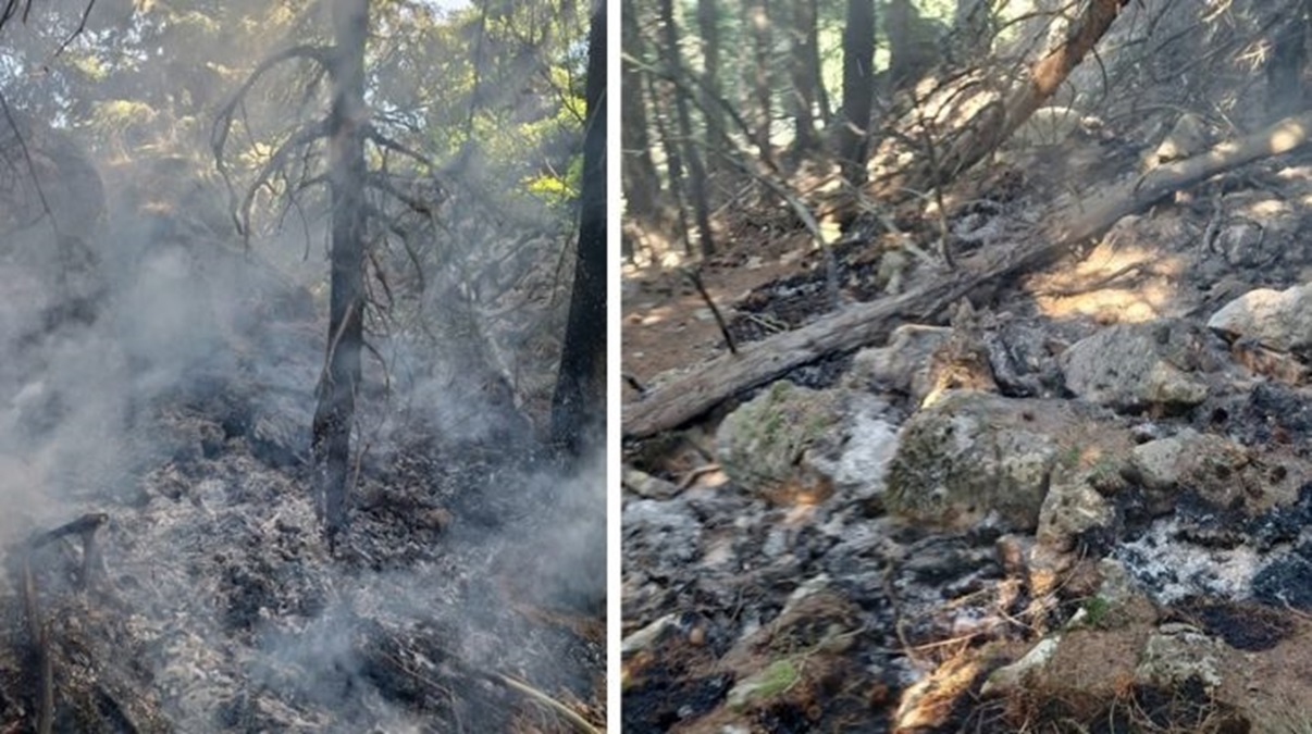 Misiune dificilă a pompierilor din Vâlcea. A doua zi de intervenție la incendiul din masivul Buila - Foto: gazetavalceana.ro