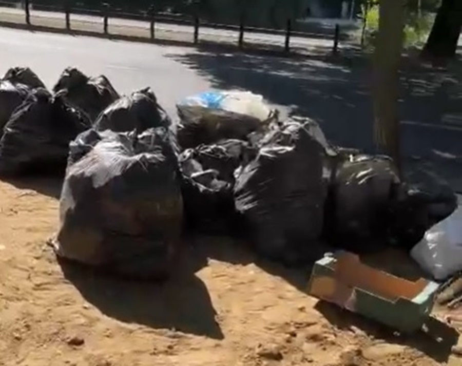 45.000 lei amendă unui bărbat care a aruncat gunoaie pe stradă. A avut trei ore să adune deșeurile - Foto: opiniatimisoarei.ro