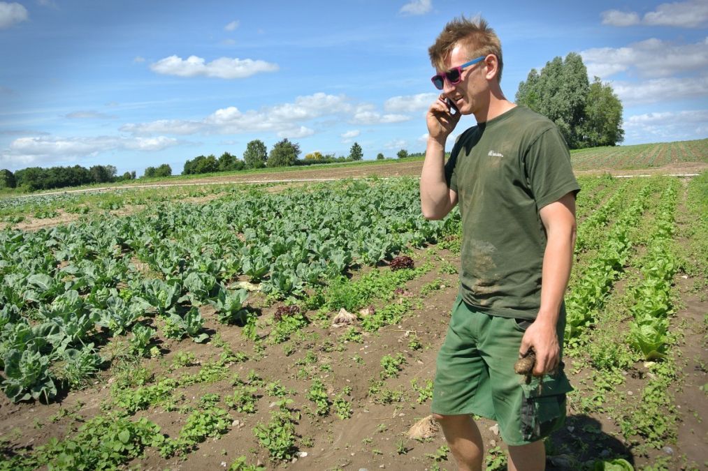 60.600.000 € au fost investite în Agricultura României, în prima jumătate a anului - Foto: PXHere/CC0