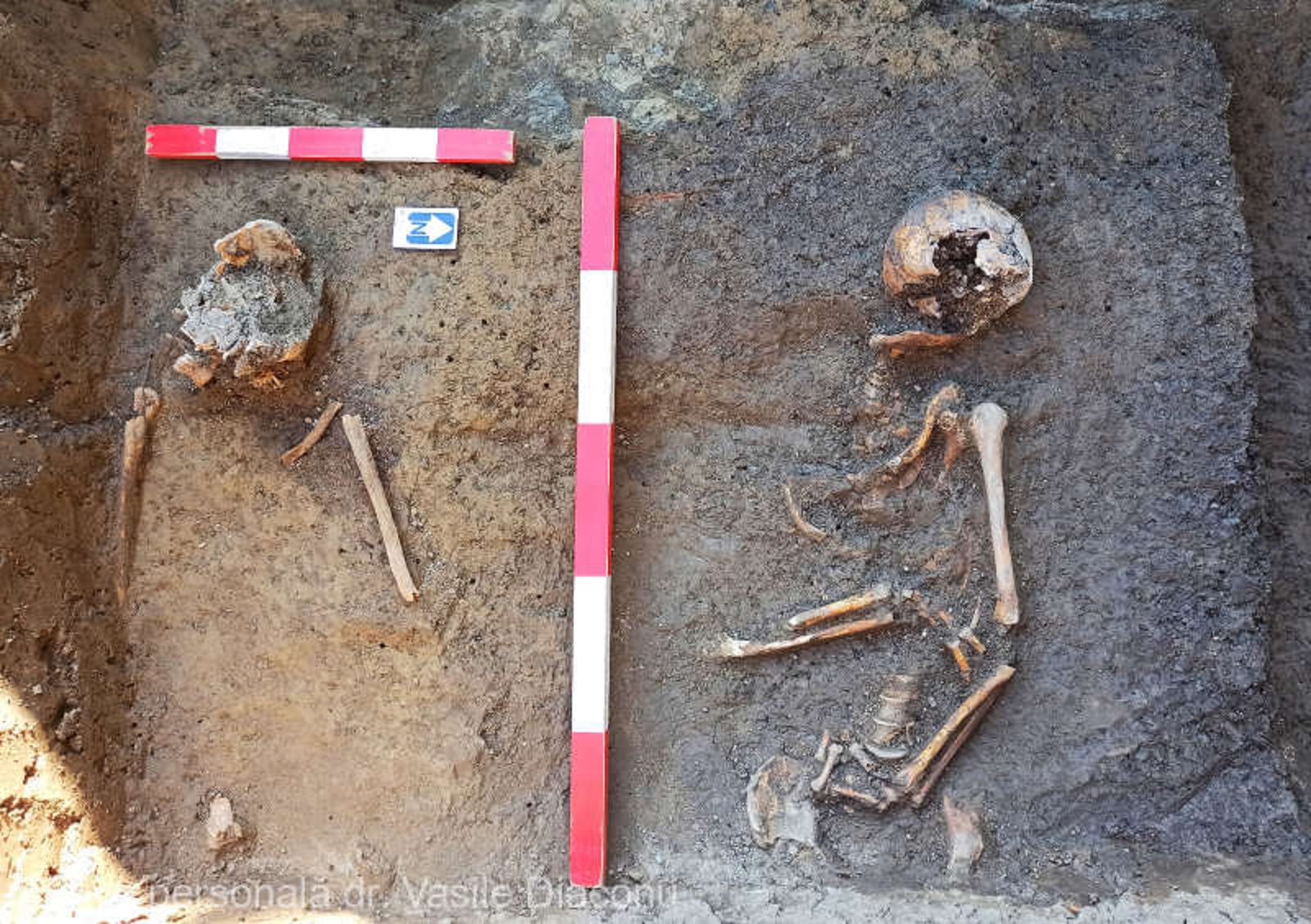 Au fost descoperite locuințe vechi de 8000 de ani în Neamț. Sunt cele mai vechi găsite aici Foto: Agerpres
