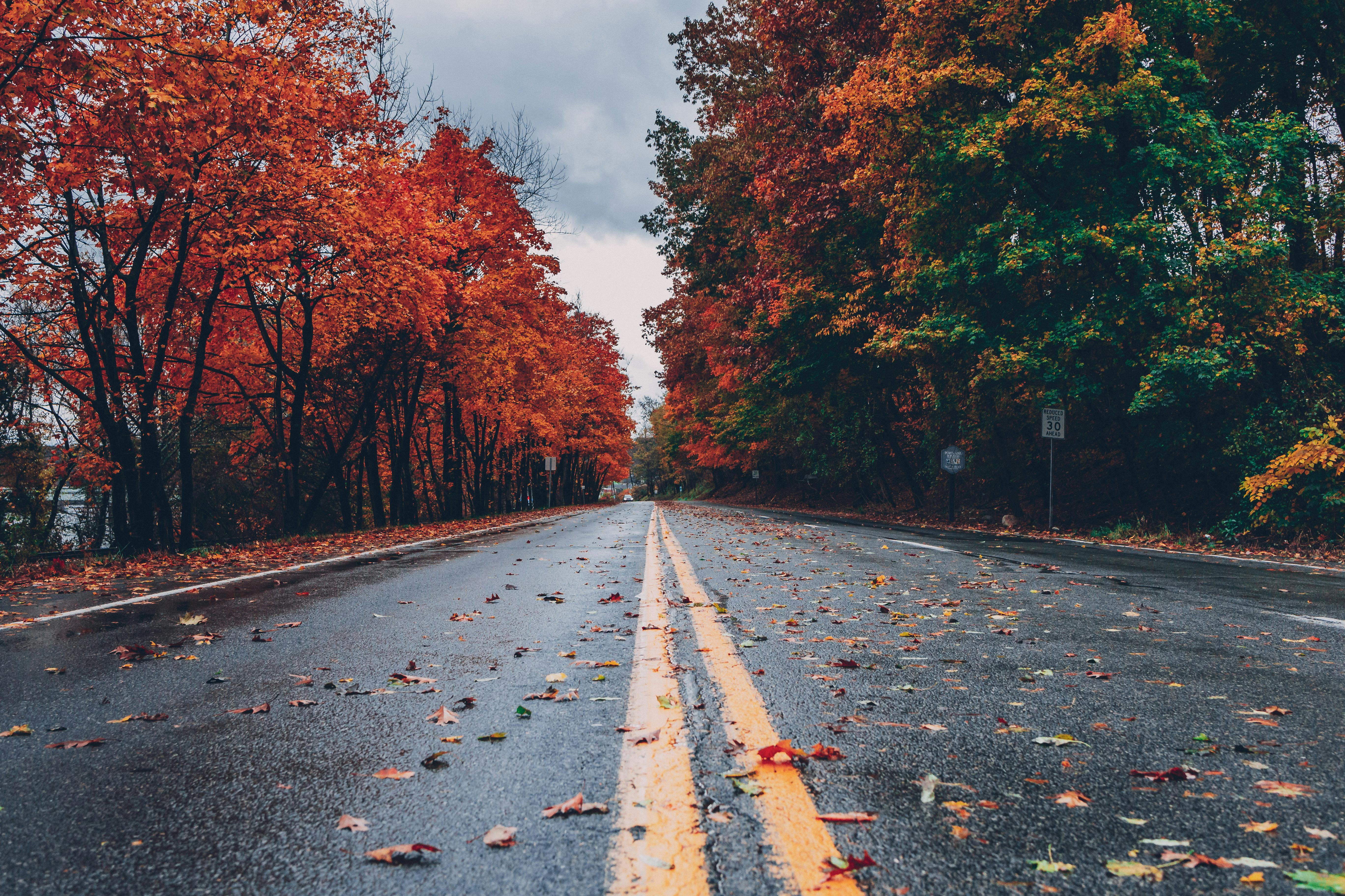 VREMEA ne ia prin surprindere în septembrie! Temperaturile scad cu cel puțin 10 grade în țară Foto: Pexels (fotografie cu caracter ilustrativ)