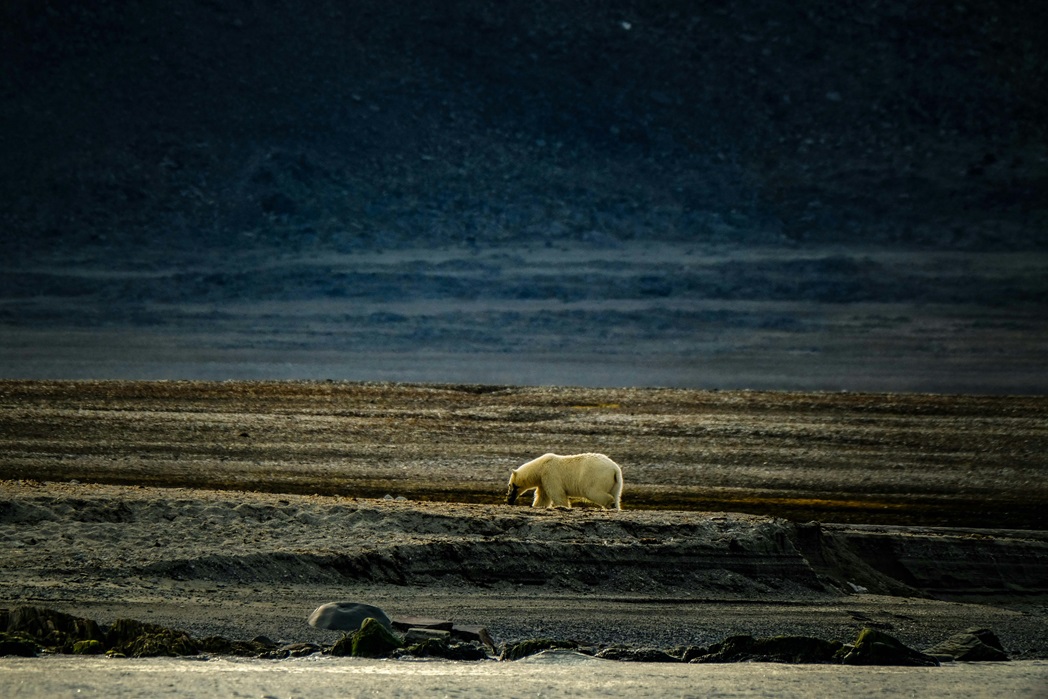 Studiu alarmant: Încălzirea globală peste 1,5°C poate provoca efecte devastatoare pe termen lung - FOTO: Pexels(imagine cu rol ilustrativ)