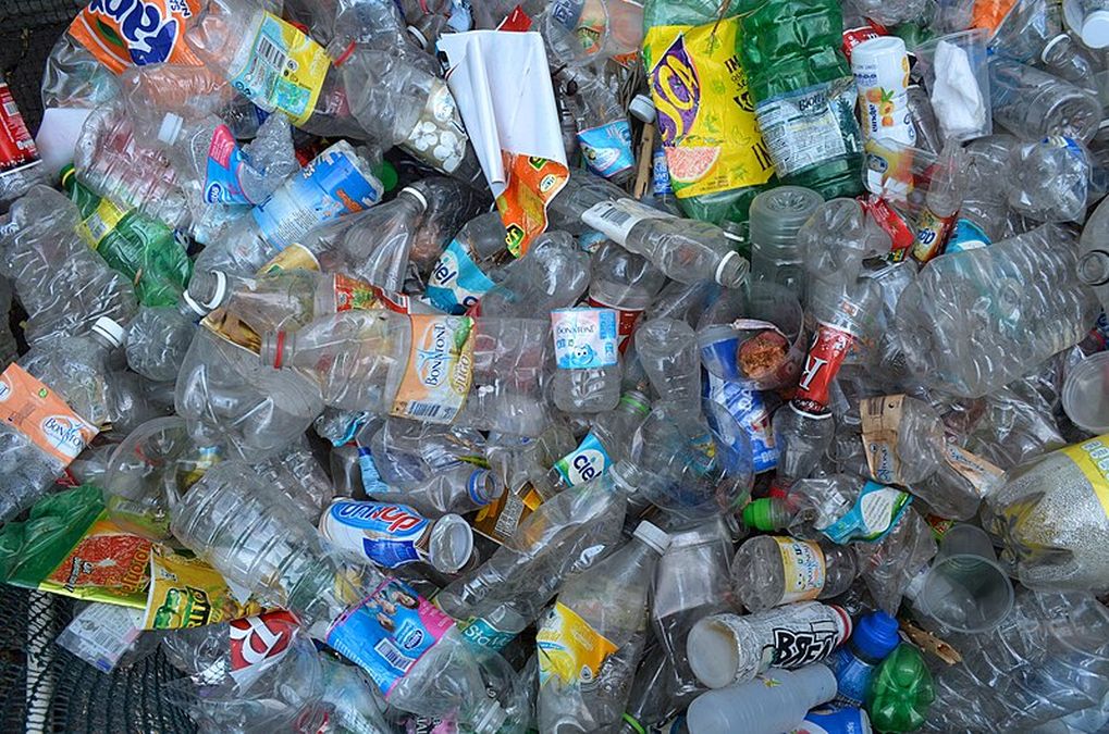 Doi tineri ieșeni vor să facă revoluție în reciclarea ambalajelor - Foto: Wikimedia/Celinebj/CC BY-SA 4.0