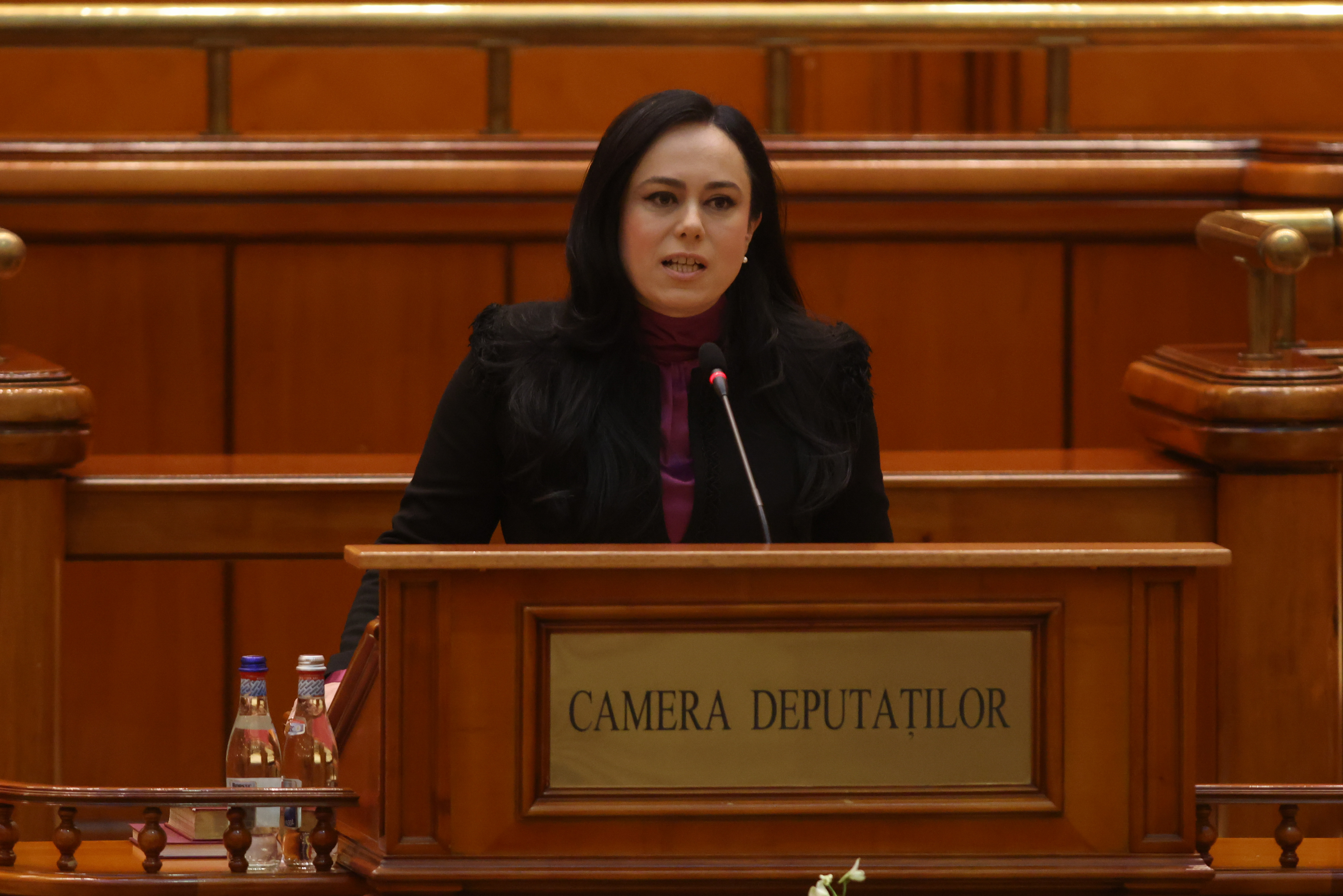 Bucura Oprescu, care a garantat creșterea pensie, reconfirmată ministrul muncii? Își ține cuvîntul? - Foto. INQUAM PHOTOS / Octav Ganea
