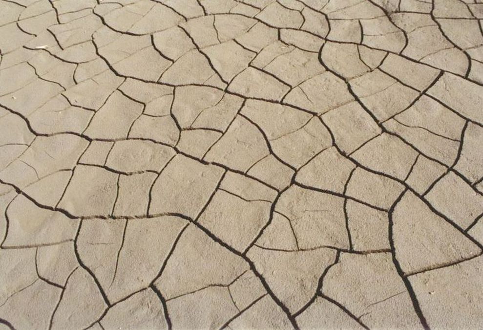 Schimbările climatice schimbă și obiceiurile fermierilor - Foto: Wikipedia/Stefan Kühn/CC BY-SA 3.0