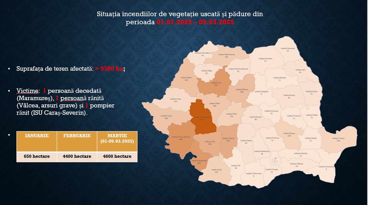 Incendii masive de vegetație în România. Arafat cere ajutorul preoților - Foto: IGSU