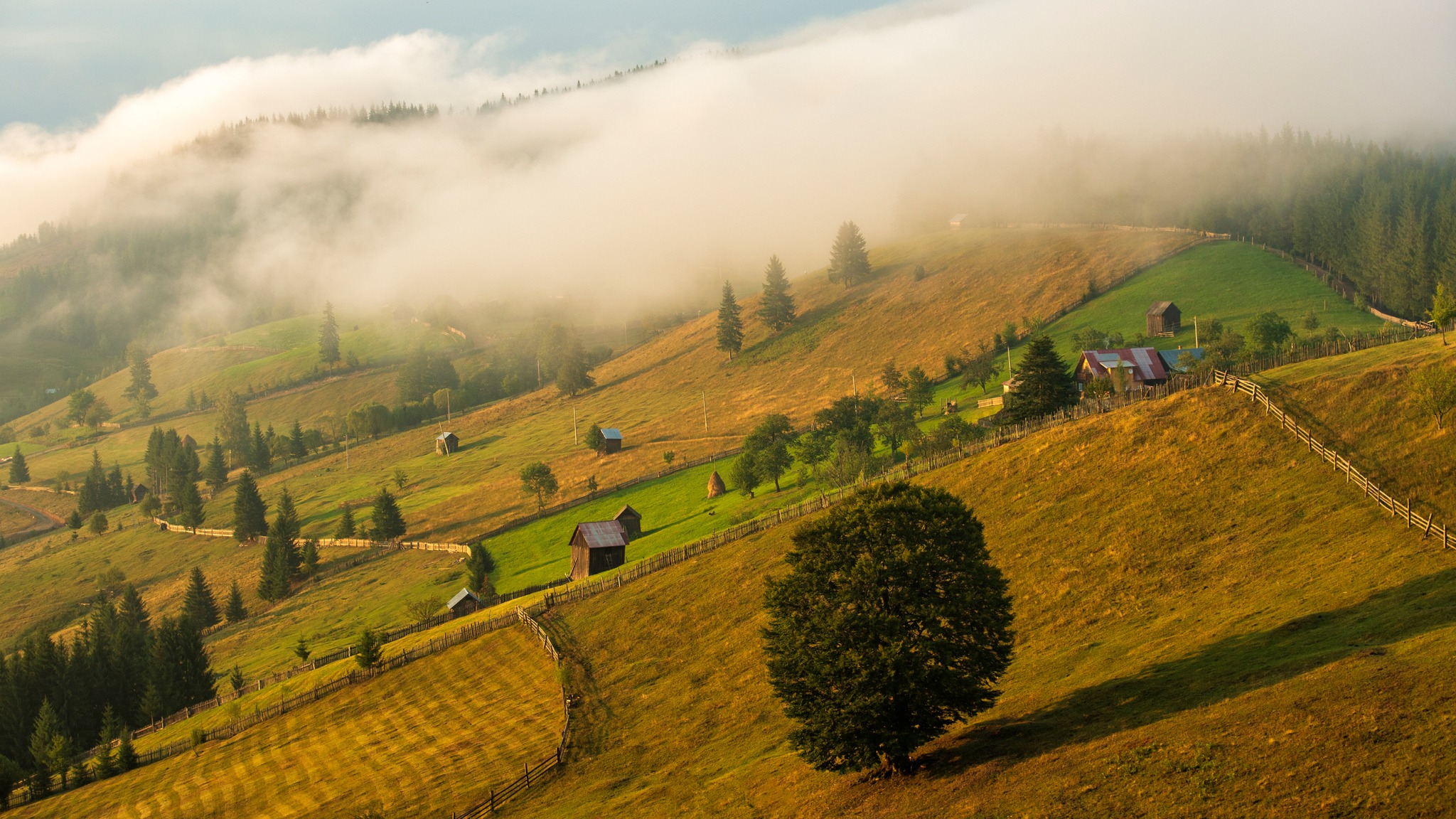 National Geographic: Pasionații de drumeții, să uite Alpii Elvețieni pentru acești munți din România - Foto: Via Transilvanica