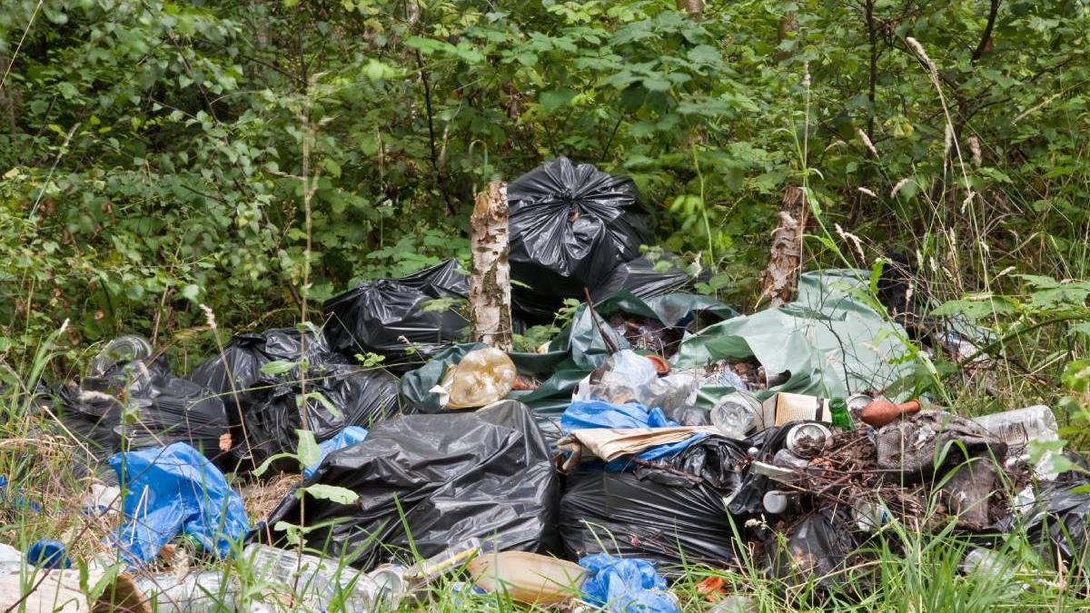 Un bărbat a primit amendă de 30.000 lei după ce a aruncat deșeurile într-o zonă extravilană - Foto: Arhiva (imagine cu rol ilustrativ)