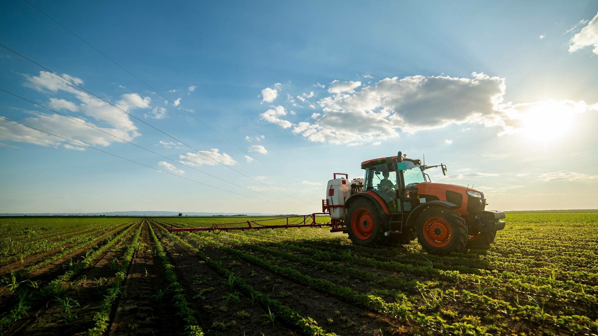 „Creditul Fermierului” le poate aduce românilor 50.000 euro în conturi, Ce condiții sunt? Foto: Shutterstock (fotografie cu caracte rilustrativ)