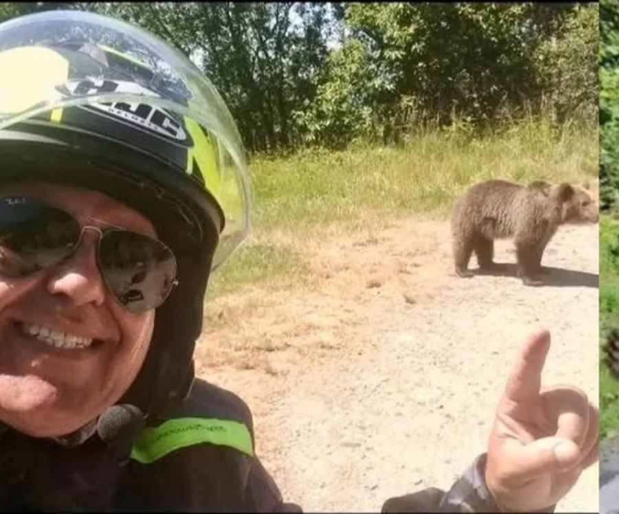 Turistul ucis de o ursoaică postase, cu o zi înaintea atacului, poze cu urşi pe marginea drumului - Foto: News.ro