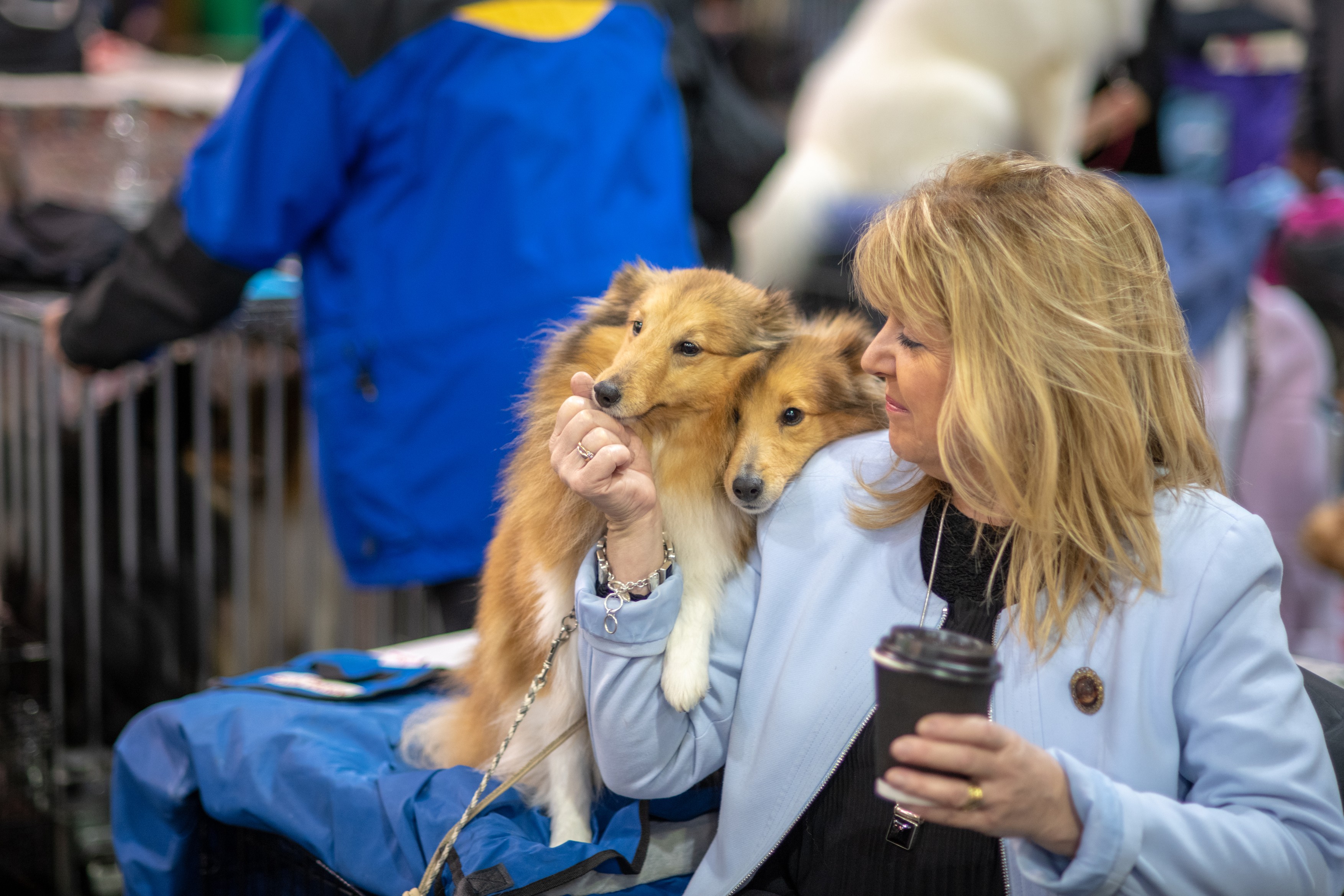 Numele ascuns care-ți schimbă viața: dacă îl dai câinelui tău, atragi norocul la bani în casă - Foto: Profimedia Images (imagine cu rol ilustrativ)