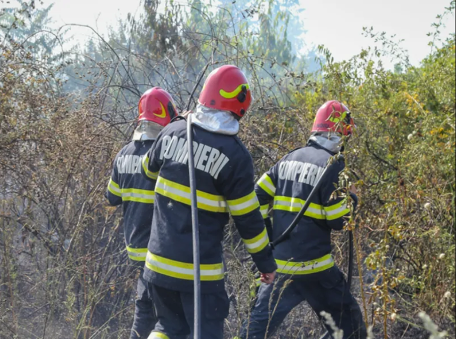 Incendiu de pădure în Vâlcea. Pompierii se luptă cu focul de trei zile - Foto: arhivă (Imagine cu rol ilustrativ)