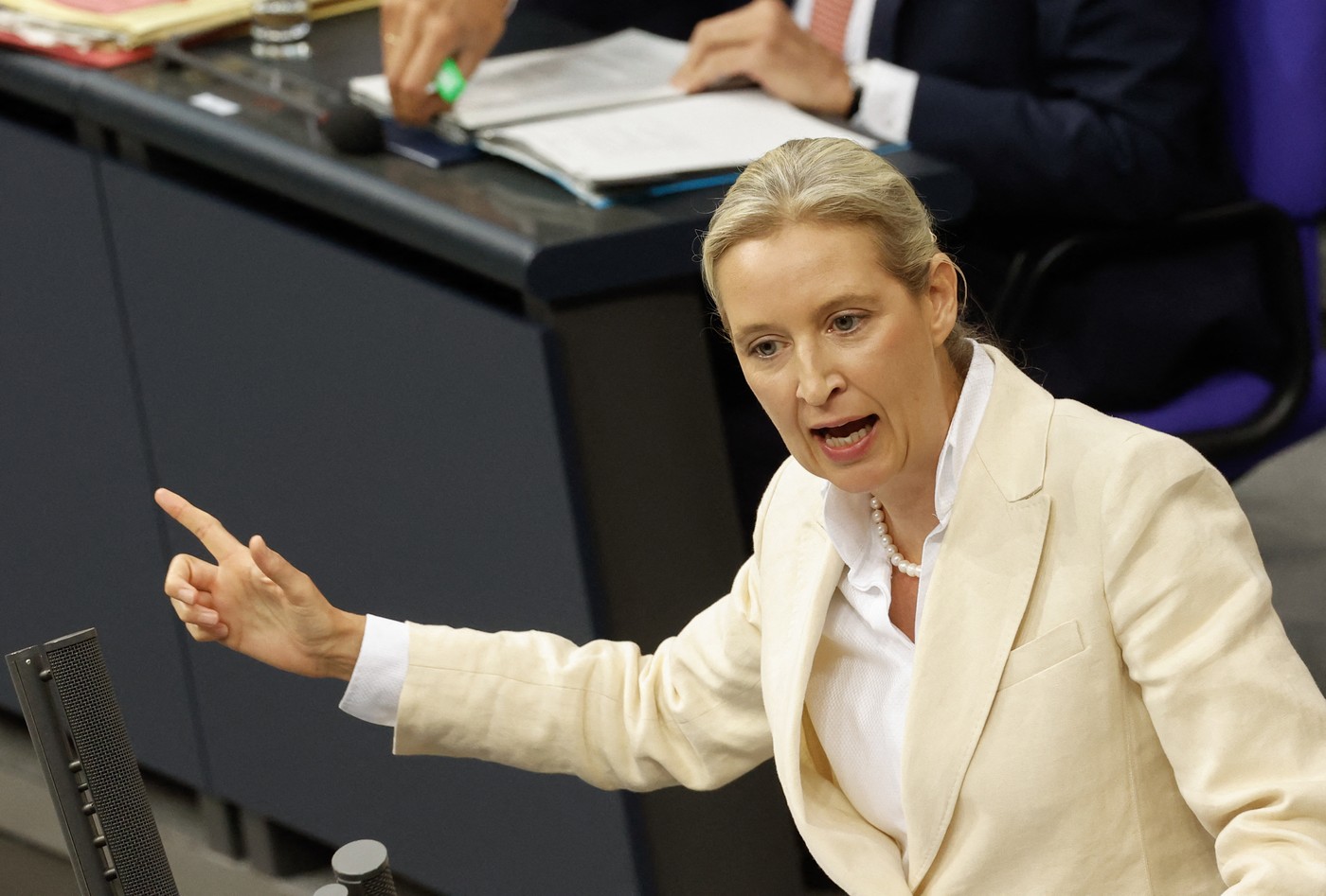AfD, partidul extremist pro-Rusia, pe primul loc în sondajele din Germania cu 26% intenție de vot - Foto: Profimedia images