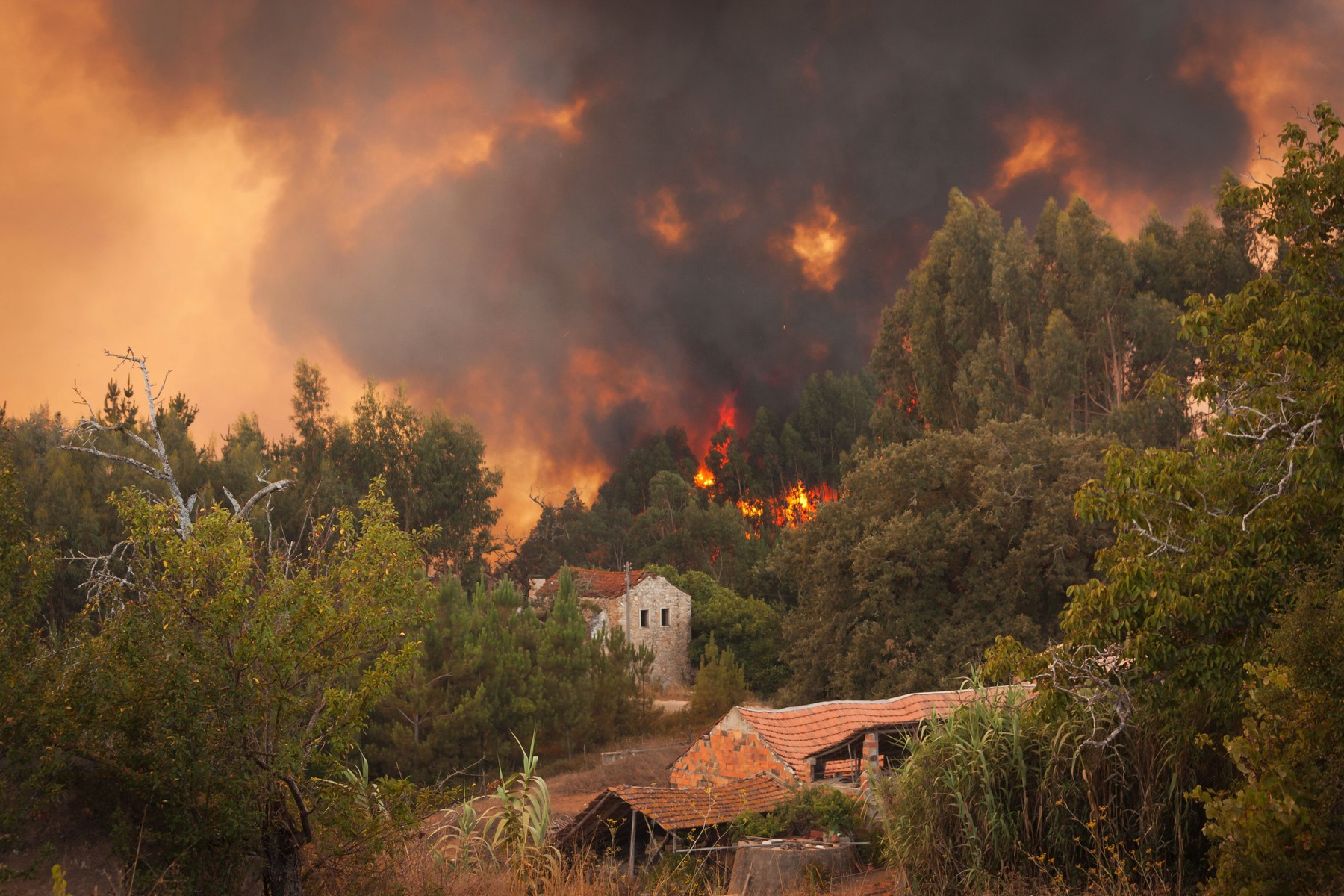 „Gătiți de vii”. Incendiile din Europa lovesc localnicii dar și turismul. Unde s-au făcut evacuări - Foto: Profimedia Images (imagine cu rol ilustrativ)