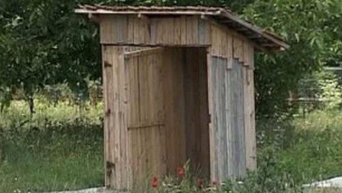 Obligat să sape o toaletă în fundul curții - Foto: ZdI